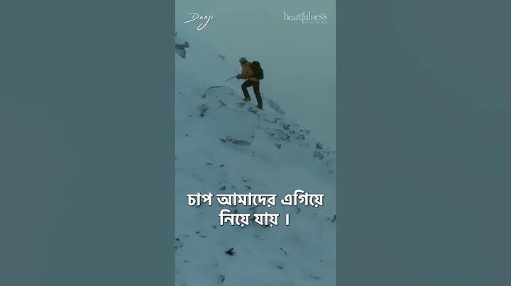 ডাইরেক্ট সত্যি ওয়ালেট/টোপি