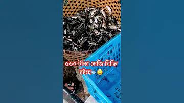কিরিয়া ক্যাসিনো
