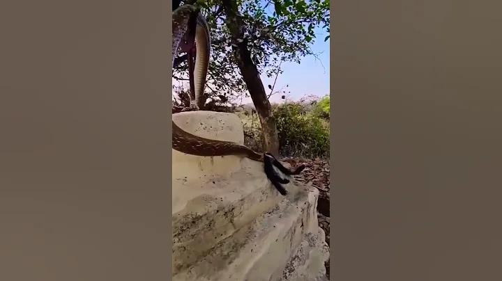 গুগল ড্রাইভ ফোল্ডারে পাসওয়ার্ড কিভাবে সেট করব