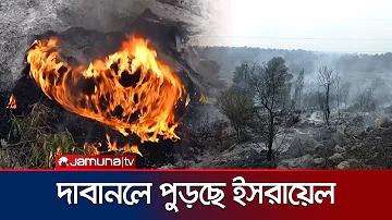 ব্রাজিলের লাইভ