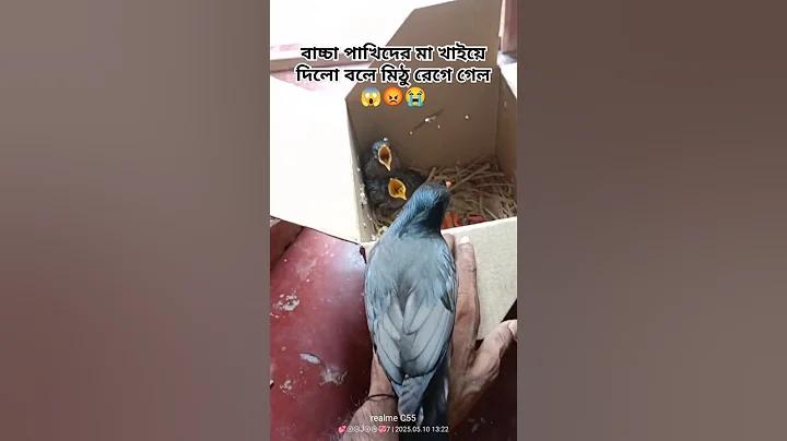 ফোন ছবি
