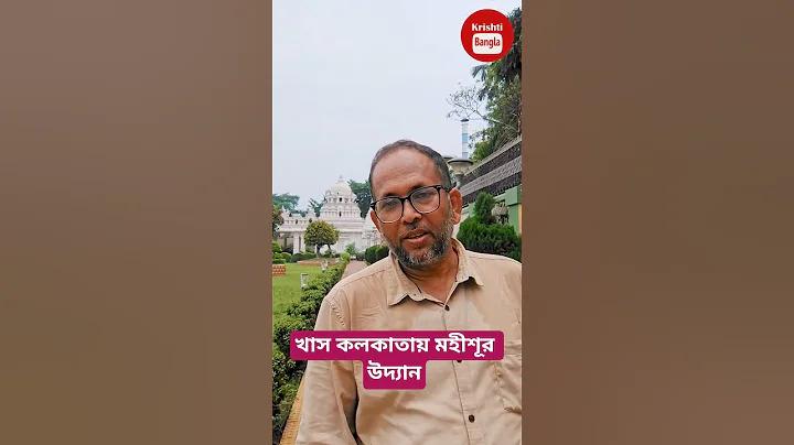 ঘটনা আমরা