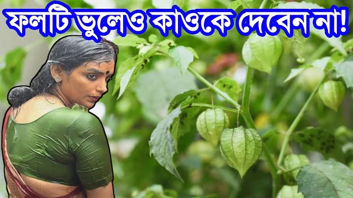 আপটু ইউ স্লট
