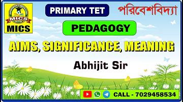 প্রাক্তন বান্ধবীর স্বপ্নের ভবিষ্যদ্বাণী করুন ভাগ্যবান সংখ্যা