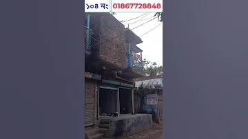 ডেঙ্গু বিশ্ব স্বাস্থ্য সংস্থা