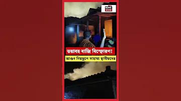 স্লট ওয়েবসাইটের ট্রায়াল প্লে