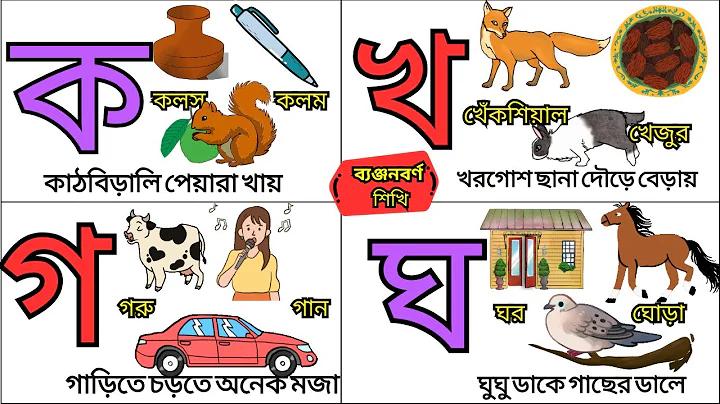 হাইলো থাই অনলাইন