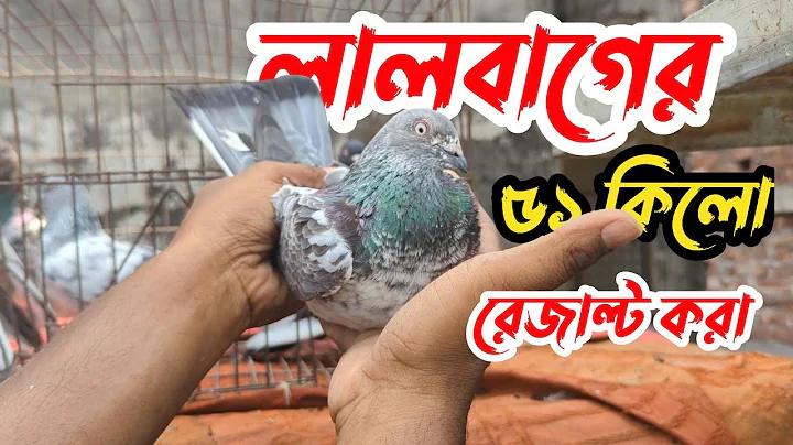 বিশেষ বিবেচনায় বেক্সিমকোকে ২২ হাজার কোটি টাকা ঋণ