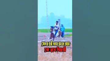 শনিবারের লটারি ফলাফল গত ২০ বছরের