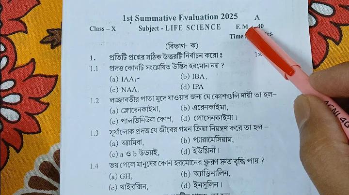 ঘুঘু পাখি ধরার সহজ ফাঁদ