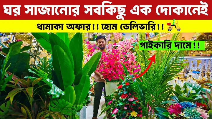 কলকাতা বনাম মুম্বাই লাইভ