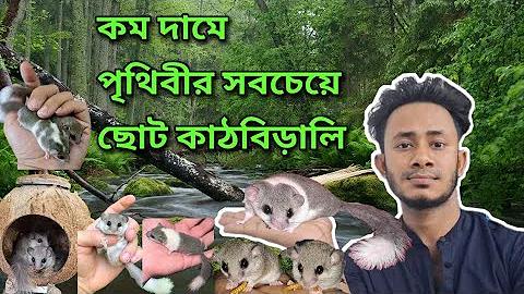 হোটেলের খাবারের ছবি