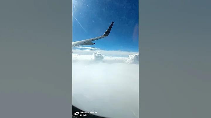 রকফেলার পরিবার