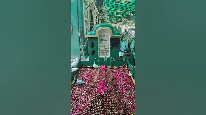 টাইগার মুরগি কত টাকা কেজি