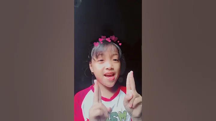 পিরোজপুর বাণিজ্য মেলা লাইভ