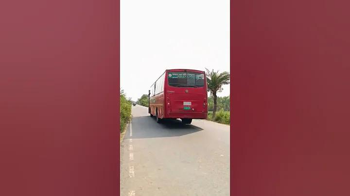 ক্রিকেট ব্যাট কোন উইলো দিয়ে তৈরি হয়