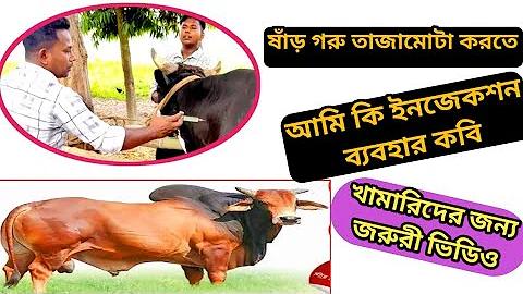 গরম খাবার