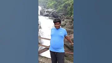 ক্রিকেট লাইভ বিপল ট২৩