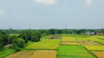 রবি সেবা চট্টগ্রাম
