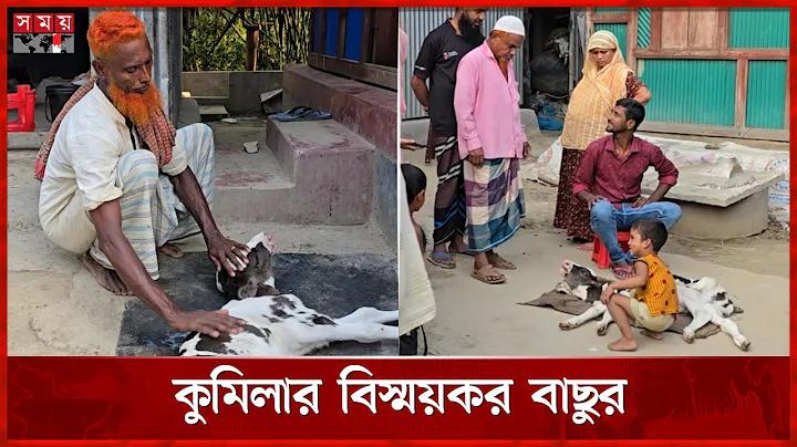 কিং স্লট