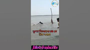 আয় খুকু আয় গীতিকার