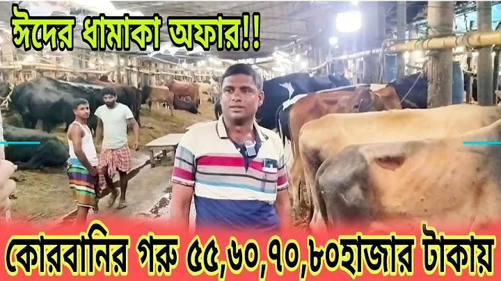 বাজি মভি