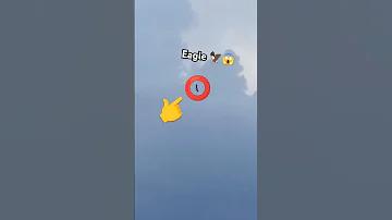 সদস্য স্লট গেমিং