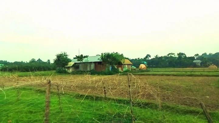 ইন্ডিয়া নিউজিল্যান্ড টেস্ট ম্যাচ লাইভ