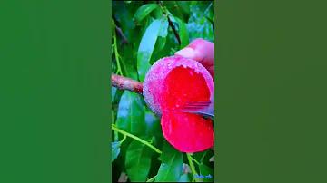 ওকেও আশা রয়েছে