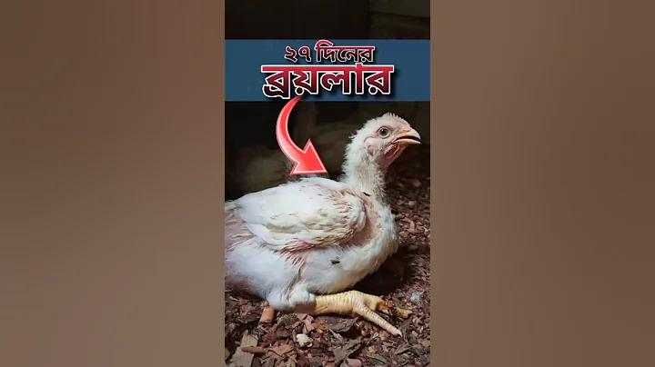 oblique meaning in bengali