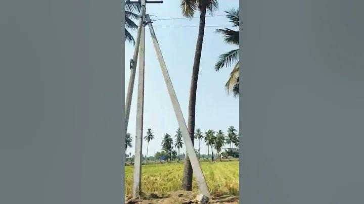 বিশ্বকাপ ফাইনাল খেলা লাইভ