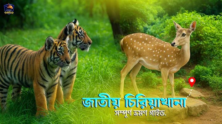 টাইম স্কেল কি