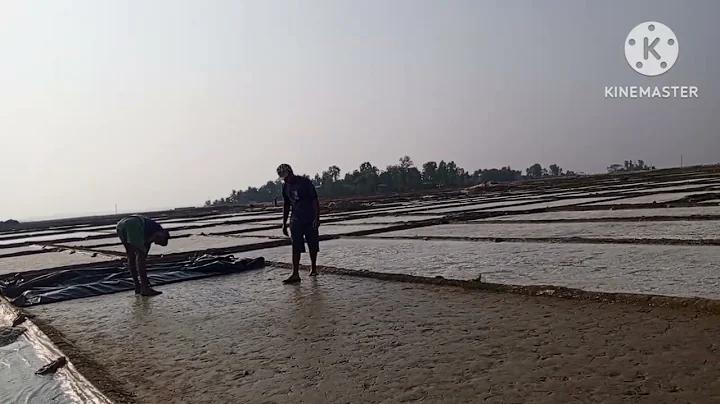 আপনি ভাগ্যবান