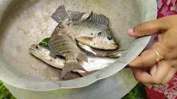 সমস্ত পিজি স্লট খেলার চেষ্টা