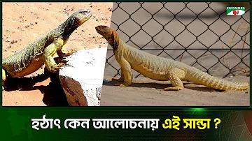 ডিজিটাল অ্যাপ