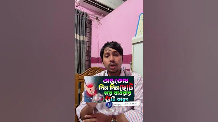 ভারতের বিভিন্ন রাজ্যের উৎসব