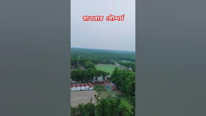 ১০ রানে অল আউট কোন দল