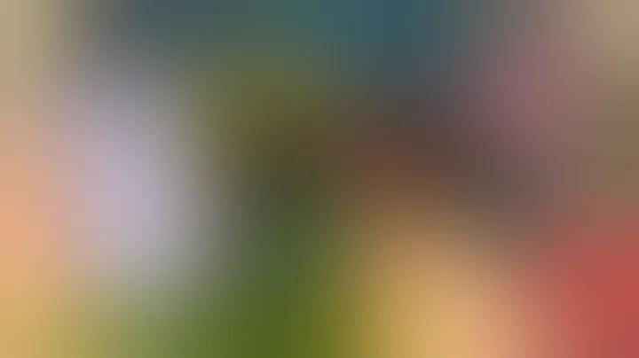 lmc filter download