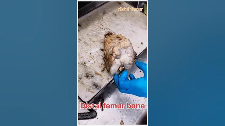 এখানে বিনামূল্যে আইডি পাবেন! | nprsl.babu88.com