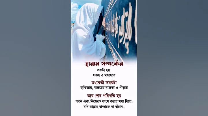 বি পি এল 2024 লাইভ