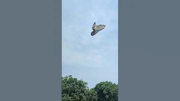 অনলাইন খবর