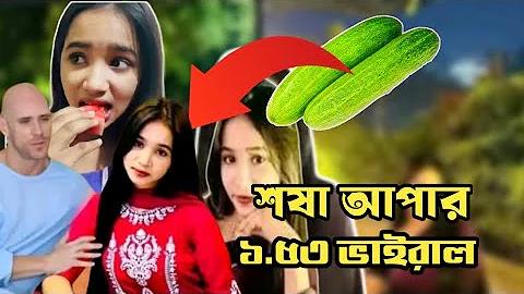 বাজি লাইভ সিগণ উপ লগইন