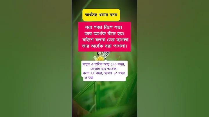 আর্জেন্টিনা বনাম ইতালি খেলার লাইভ
